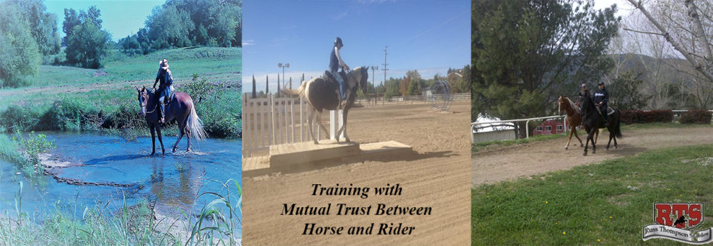 Trust Training photos